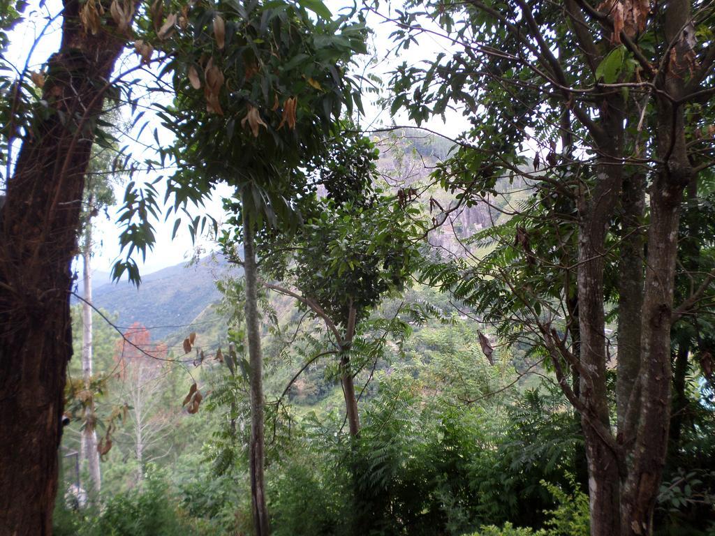Jaye Homestay Ella Extérieur photo